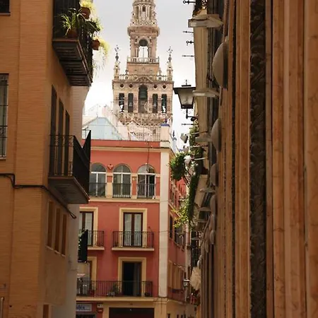 Plaza Del Salvador Sevilla